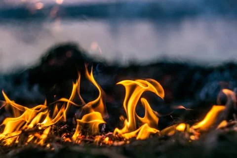 The flames of the fire burning the herb in the evening field, turning into co Stock Photos