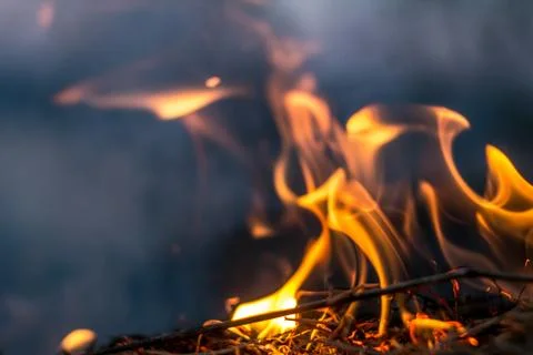 The flames of the fire burning the herb in the evening field, turning into co Stock Photos
