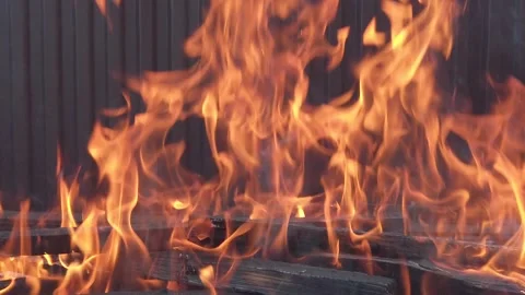 Flames of fire close up. Slow motion Video stock 155674648