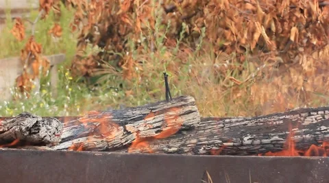 Flames of fire Stock Footage 41606765