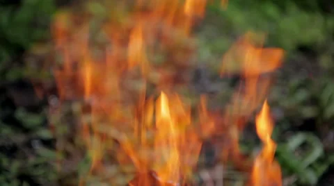 Flames of fire Stock Footage 50491185