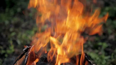 Flames, fire Stock Footage 50491238