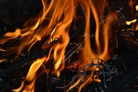 Flames of fire Stock Photos