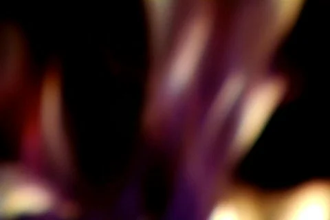 Flames in a Firepit Stock Footage 376655