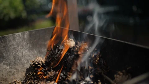 Flames Fireplace from Pine Conifer cone. Summer camping outdoors. Cooking BBQ. Stock-Footage 128449647