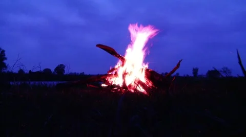 Flames Stockbeeldmateriaal 891195