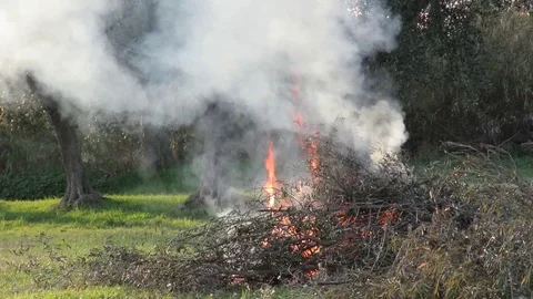 Flames Stock Footage 94920363