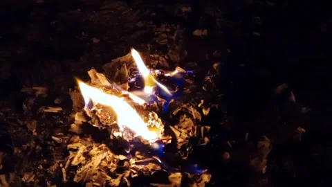 Flames Stock Footage 252204031
