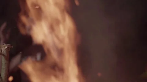 Flames Stock Footage 272904211