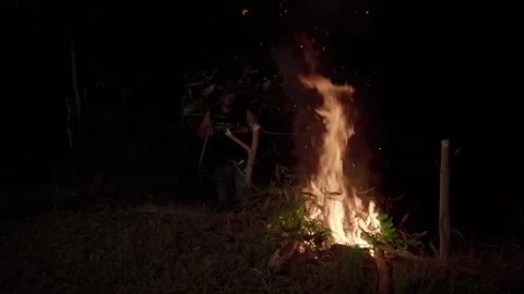 Flames Stock Footage 272904251