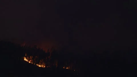 Flames in forest at night Wildfire Seiça, Portugal burning uncontrollable Stock Footage 226201366