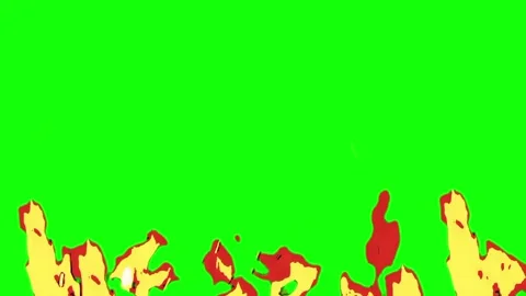 Flames with Green Screen Background Video stock 330670164