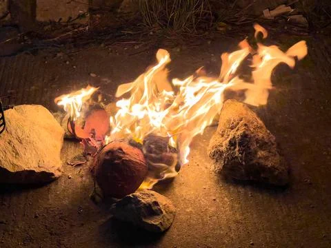 Flames Igniting Coconuts on the Ground Stock-Fotos