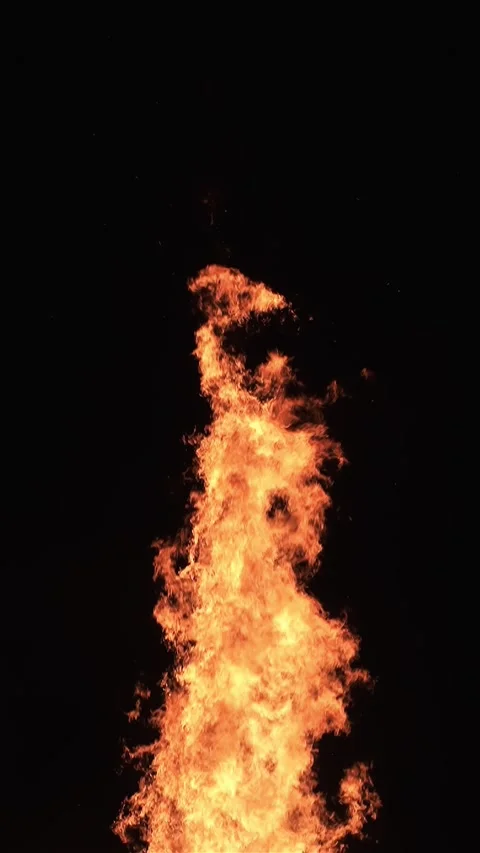 Flames of Large Fire Burning Against Black Background, Vertical video Stock Footage 312063576