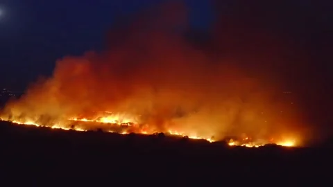 Flames of massive Forest Fire, aerial view at night. Nature wildfire in dry Stock Footage 140291472