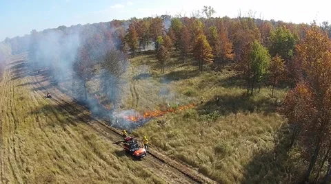 Flames moving towards the woods during a controlled fire Video stock 43738661