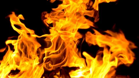Flames of a night fire Stock Footage 114559484