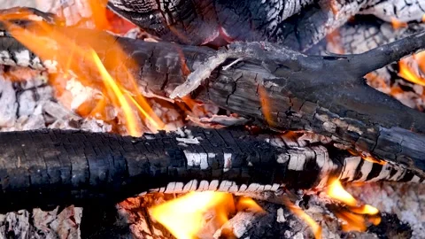 Flames over wooden logs Stock-Footage 232373784