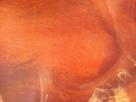 Flames on a red background Stock Footage 202541081