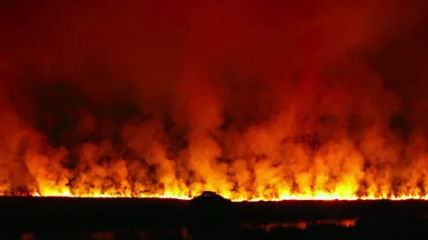 Flames rise high in Okavango Delta during controlled burns for land management Stock Footage 326017561
