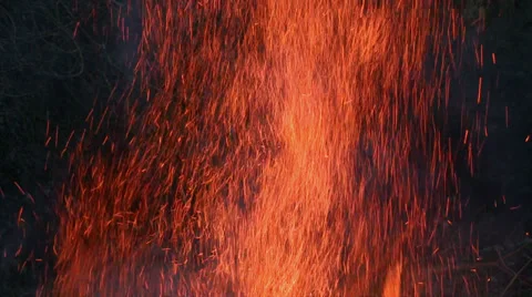 Flames rising from a bonfire Stock Footage 33800167