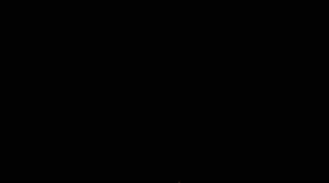 FLAMES RISING. Slow Motion Stock Footage 41206296