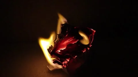 Flames in a sheet of paper with writing Stock Footage 292462385