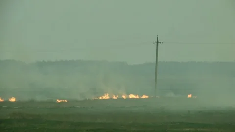 Flames spread through dry grass in field, large area burn, caustic smoke rises Stock Footage 128803331