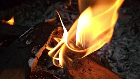 Flames, woods burning and forming beautiful flames that seem to dance, 4k, .. Video stock 241042943