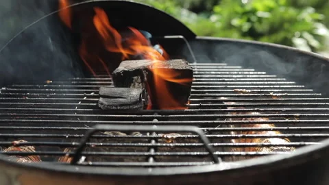 Flaming BBQ Charcoal Grill Video stock 155485141