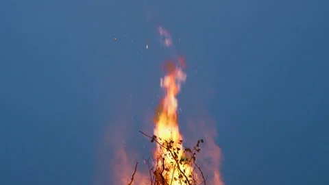 Flaming bonfire top with leafy branches and raging flame Stock Footage 253394368