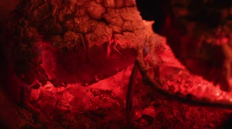 Flaming coals, slow motion Vidéo 46056847