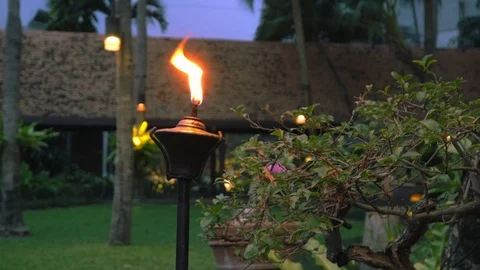 Flaming fire on retro oil lantern with garden background Stock Footage 88142358