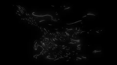 Flaming Hawk. video on black background for design Stock Footage 127098793