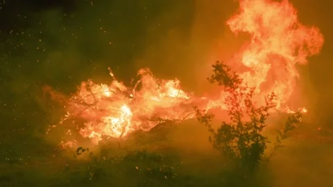 Flaming Huge Fire With Smokes Engulfing Dark Forest. Close Up Stock Footage 171102216