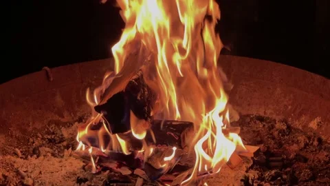 Flaming Logs burning in firebowl Stock Footage 220285447