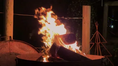 Flaming Logs burning in firebowl Stock Footage 220285461