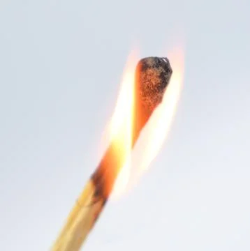 Flaming match stick burning in the middle of a white isolated background Stock Photos