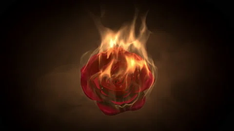 Flaming rose flower on black background.  Slow-motion 3d render Stock-Footage 147527900