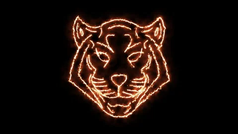 Flaming tiger. Stock Footage 168538149
