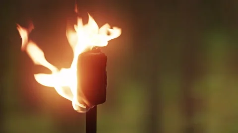 Flaming Torch Stock Footage 49541330
