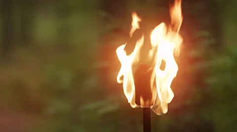 Flaming Torch In Forest Stock Footage 49541096
