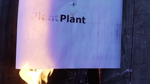 Flaming word Plant 스톡 동영상 75909657