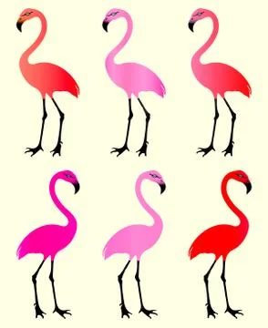 Flamingo. 6 Color Variations. Vector EPS 10. Stock Illustration