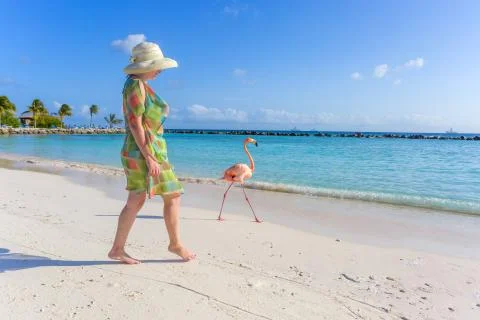 Flamingo beach. Aruba Stock Photos