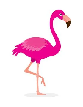 Flamingo Bird clipart vector Stock Illustration