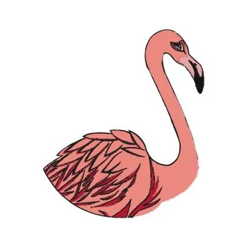 Flamingo bird icon Illustrazione stock
