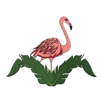 Flamingo bird icon Illustrazione stock