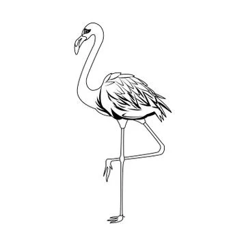 Flamingo bird icon Illustrazione stock