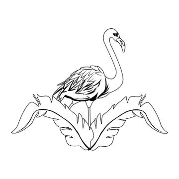 Flamingo bird icon Stock Illustration